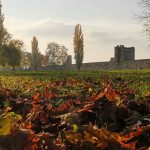 Smederevska tvrđava