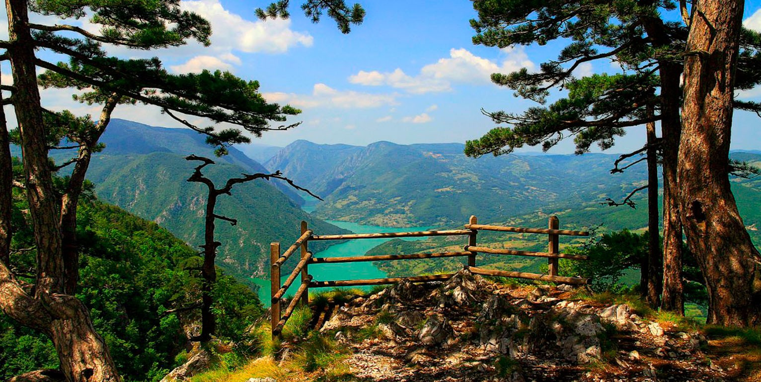 Tara - Šta obići na Tari - Šta videti na Tari - GdeNaOdmor