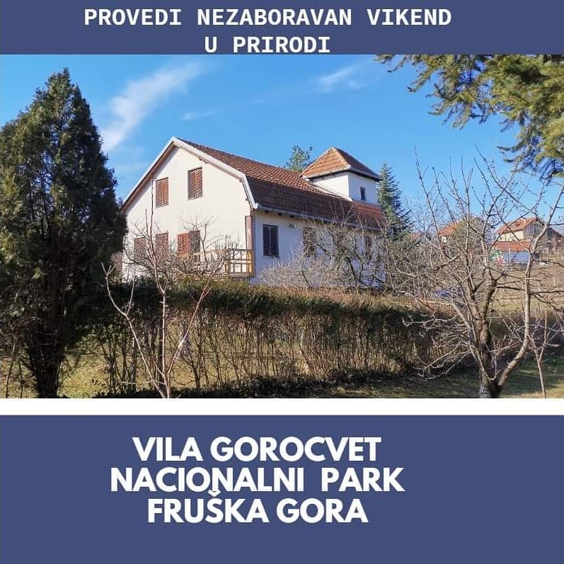 Vila Gorocvet Fruška gora smeštaj