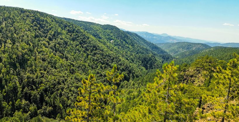 apartman-snezna-kraljica-a-16-11