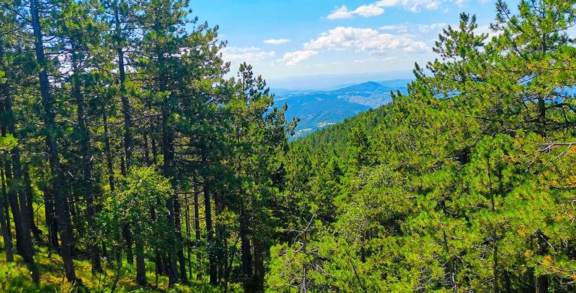 apartman-snezna-kraljica-a-16-16