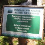 Kanjon Samokovske reke