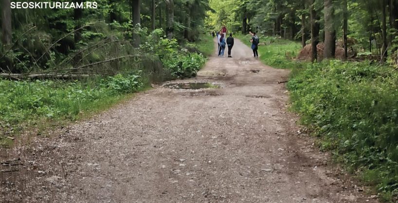 banjska-stena-tara-04