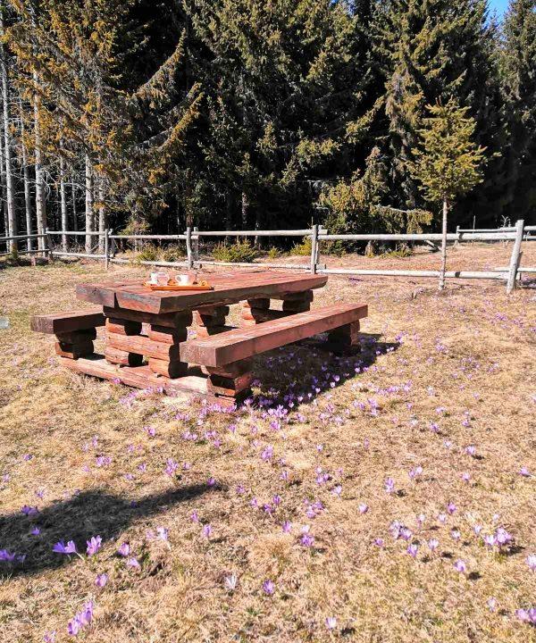 golija-vikendica-za-odmor (1)