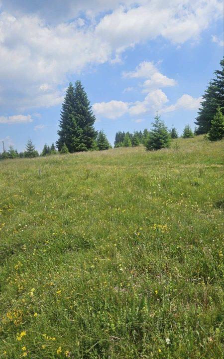 golija-vikendica-za-odmor (4)
